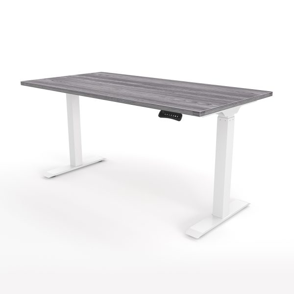 i5 Industries Standing Desk Samoa Gray and White