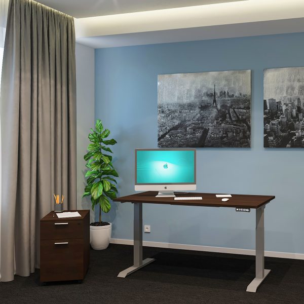i5 Industries Standing Desk Office Scene