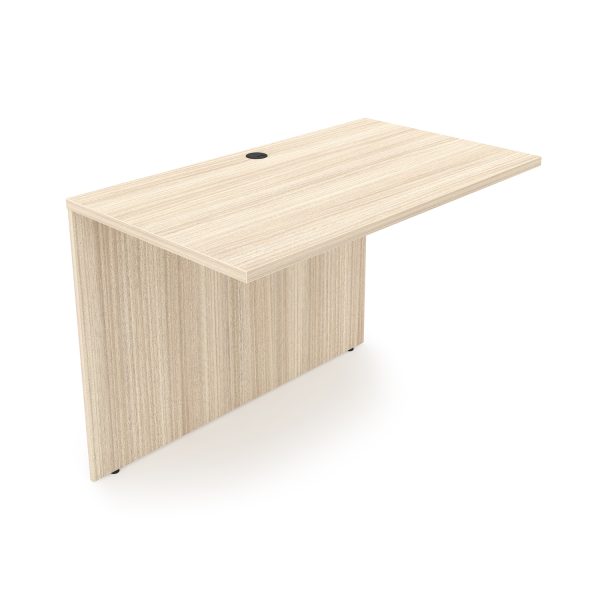 Rayne Bridge Shell, 24" x 48"