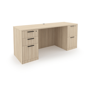 Rayne Credenza with Double Full Pedestal, 24" x 66"