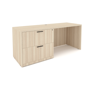 Rayne Credenza with Single Lateral File, 24" x 66"
