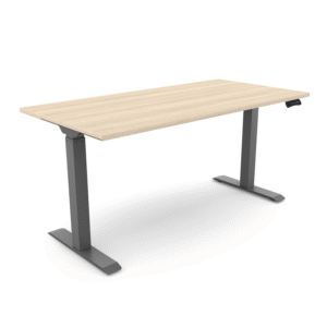 iRize Standing Desk, 30" x 48"